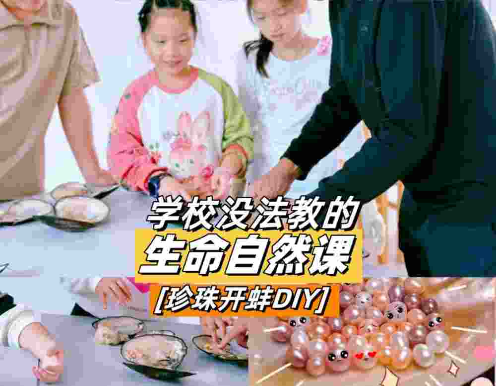 蘇州三六六社會(huì)實(shí)踐戶(hù)外拓展探索自然生命蚌殼中的奧秘體驗(yàn)活動(dòng)